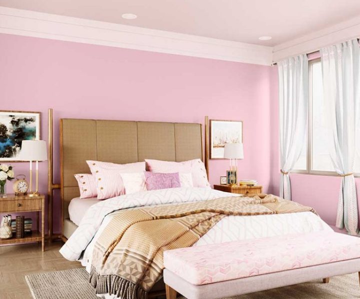 Peach Asian Paints Interior Colour Combination Catalogue Wall
